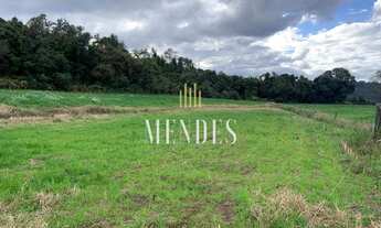 Imagem 6: CAXIAS DO SUL - Terreno Padrão - Monte Bérico