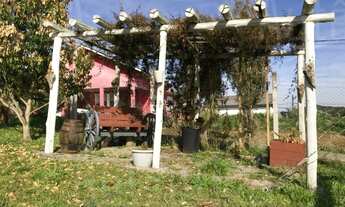 Imagem 2: Caxias Do Sul - Chácara - Vila Seca