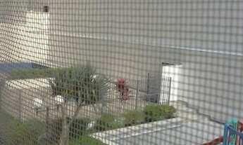 Imagem 5: Apartamento à venda, 2 quartos, 1 vaga, Aclimação - São Paulo/SP