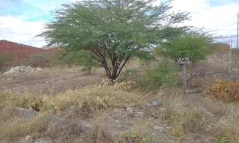 Imagem 3: Terreno no rodeadouro