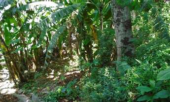 Imagem 2: Terreno em rua nobre, vista para Lagoa Rodrigo de Freitas