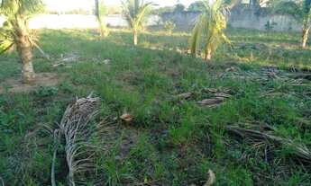 Imagem: Terreno comercial ao lado da Rodovia do