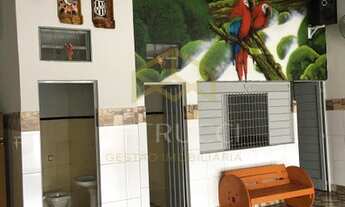 Imagem 4: Chácara - Vila Aeroporto - Campinas