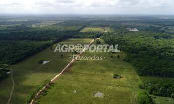 Imagem 2: Fazenda no Pará - Castanhal - 633 ha (131 alq