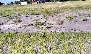 Imagem 4: Terreno à venda, 213 m² por R$ 130.000 - Jardim America - Passo de Torres/SC