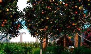 Imagem 4: Horizontes do Litoral>