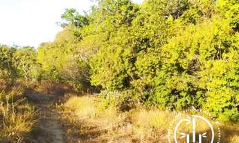 Imagem 2: Terra Amor Fazenda / sítio com venda por R$550.000