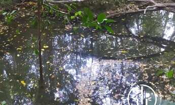 Imagem 4: Terra Amor Fazenda / sítio com venda por R$550.000