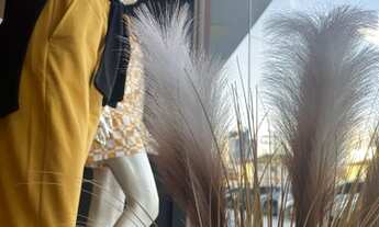 Imagem 2: Loja porteira fechada