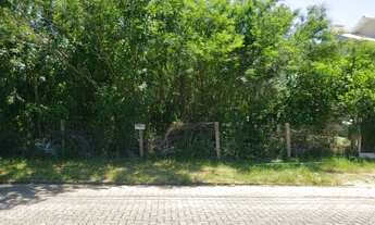 Imagem 3: Porto Alegre - Terreno Padrão - Hípica