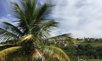 Imagem 3: Venda - Sítio - Novo Horizonte - São Pedro - SP