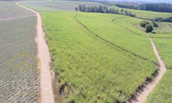 Imagem 3: Fazenda - Área Rural de Mogi Mirim - Mogi Mirim