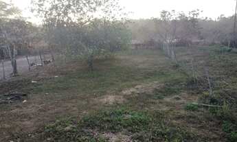 Imagem 2: Lote de chácara Jardim ipe Aparecida de Goiânia