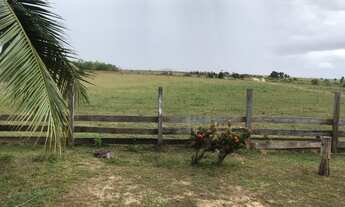 Imagem 4: Fazenda no Amajari