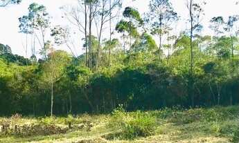 Imagem: TERRENOS DIRETO NEGOCIEI SEM BUROCRACIA