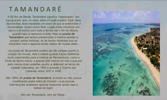 Imagem 3: LANÇAMENTO BEIRA MAR PRAIA DOS CARNEIROS