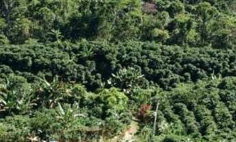 Imagem 4: Sitio Produzindo em Manhaçu- A terra se paga