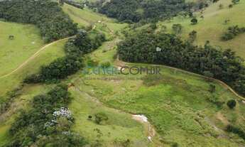 Imagem 5: ESPETACULAR FAZENDA DE 195 HA COM IMPONENTE CASARÃO SECULAR