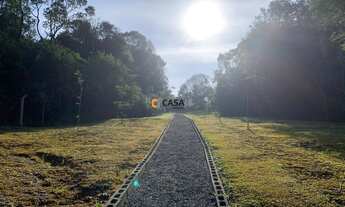 Imagem 7: CAMPO LARGO - Casa Padrão - SÃO MARCOS