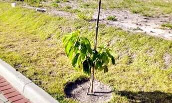 Imagem 2: Terreno à venda, 213 m² por R$ 130.000 - Jardim America - Passo de Torres/SC