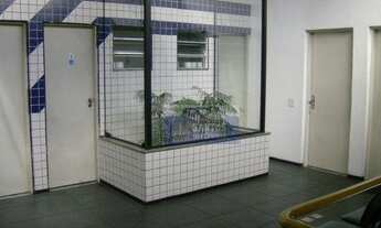 Imagem 5: Galpão na Mooca 700m²