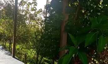 Imagem 3: Casa de campo com piscina VENDO OU ALUGO