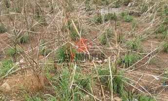 Imagem 5: Lote/Terreno para venda tem 405 metros quadrados em Residencial Morumbi - Goiânia - GO