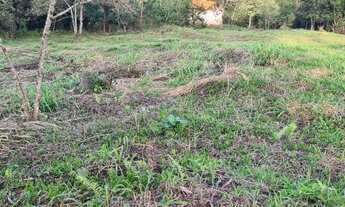 Imagem 3: Área Residencial para Venda no Vila Florestal Grajaú em Colombo, 16020m²