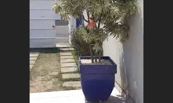 Imagem 2: Casa bairro Santa Rita com piscina