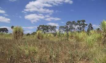 Imagem 2: Grande Oportunidade terreno de 4 ha sem defeito, Jaboticatubas (Temos varias opções)