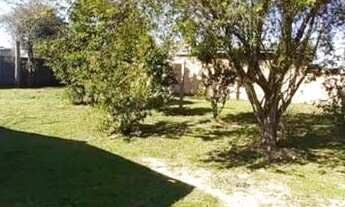 Imagem 4: BARBADA!!! Sítio c/casa as margens da RS040