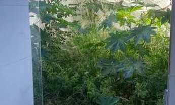 Imagem 6: Casa para Venda em Ibirité, Bosques, 2 dormitórios, 2 banheiros, 1 vaga