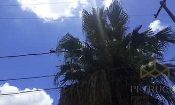 Imagem 5: Terreno - Residencial Candido Ferreira (Sousas) - Campinas