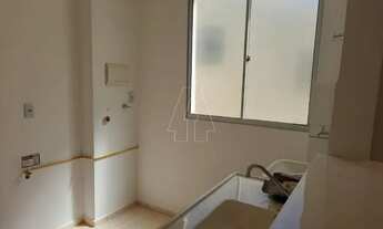 Imagem 2: Araçatuba - Apartamento - Umuarama