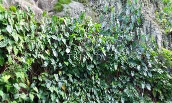 Imagem 4: Apartamento no Leblon - Rio de Janeiro