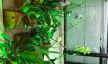 Imagem 5: Apartamento para Venda em São Paulo, Indianópolis, 1 dormitório, 1 suíte, 2 banheiros, 1 v