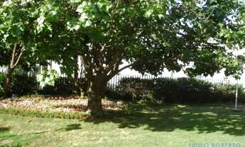 Imagem 6: DUPLEX - PERDIZES - SP