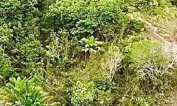 Imagem 4: Sítio em jaguaripe oportunidade