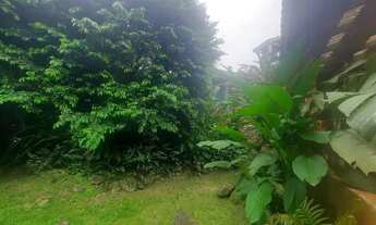 Imagem 5: São Sebastião - Casa Padrão - Praia de Maresias