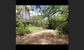 Imagem 6: TERRENOS EM ALDEIA 5000m2