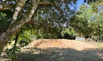 Imagem 3: Vendo um Sítio com riacho 100 metros da RS 020