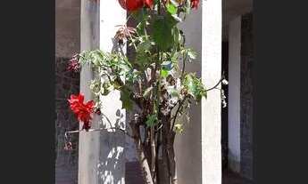 Imagem 4: Campo Limpo Paulista - Casa Padrão - Vila Tavares