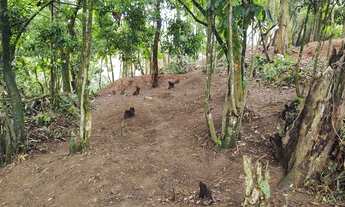 Imagem 3: Terreno em santo André