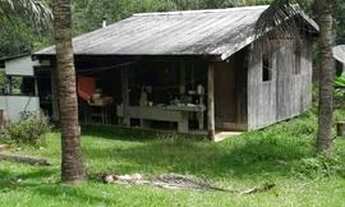 Imagem 7: Fazenda - Bairro Gleba Iriri