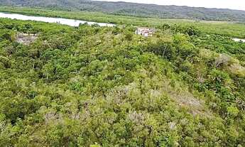 Imagem 5: Sítio em jaguaripe oportunidade