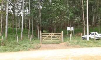 Imagem 4: Sítio com 13 alqueires em jacutinga MG