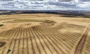 Imagem 5: Fazenda de 250 Alqueries