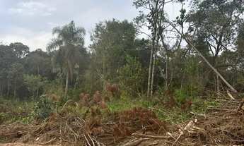 Imagem 3: Oportunidade imperdível: terreno de 1.000m² na divisa de São Roque