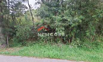 Imagem 4: Lote em Rua Homero Pacheco - Ulisses de Abreu - Canela/RS