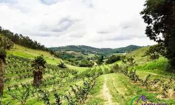 Imagem 4: SÍTIO - MORRO DAS PEDRAS - SP